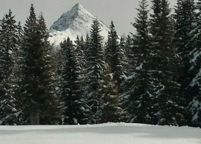 Balcone Sulle Dolomiti 2 * Dosoledo