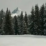 Balcone Sulle Dolomiti 2 * Dosoledo