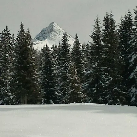 Balcone Sulle Dolomiti 2 * Dosoledo